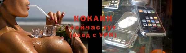 сатива Михайловка