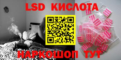 твердый Бийск