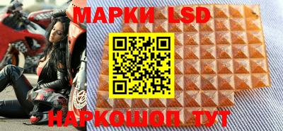 твердый Бийск