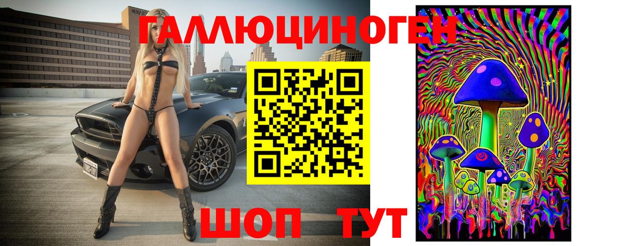 Галлюциногенные грибы Psilocybe Беслан